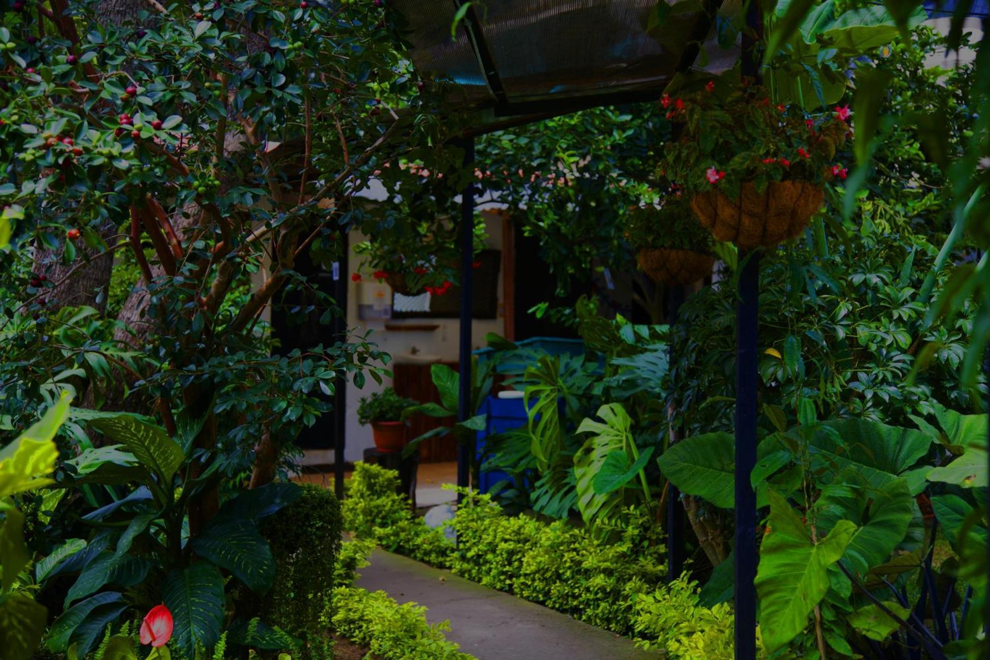 Hostal Antigueeno Antigua Extérieur photo